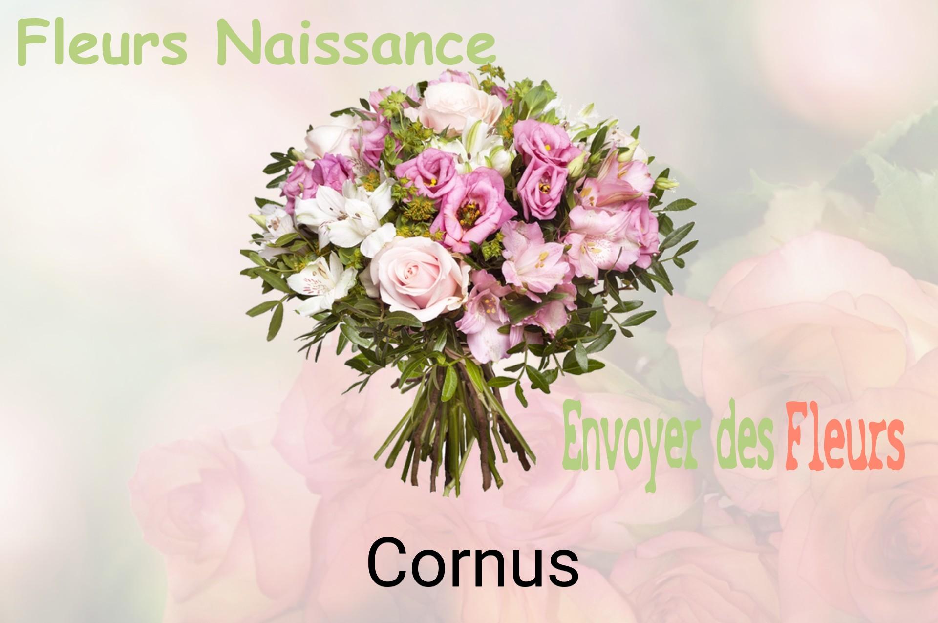 Bouquet de fleurs de naissance livré à Cornus