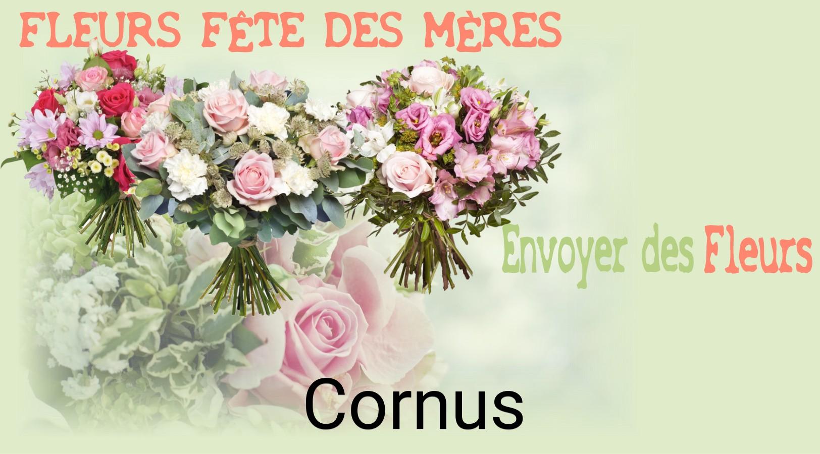 Bouquet de Fête des Mères livré à Cornus