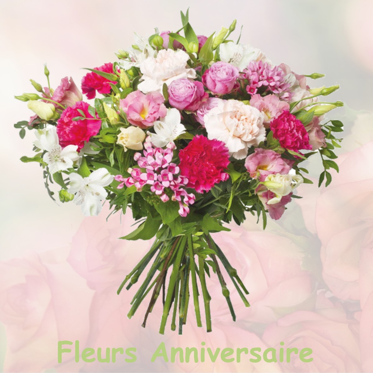 fleurs anniversaire CORNUS
